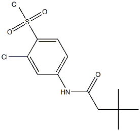 2-chloro-4-(3,3-dimethylbutanamido)benzene-1-sulfonyl chloride Struktur