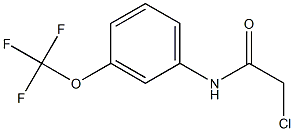 2-chloro-N-[3-(trifluoromethoxy)phenyl]acetamide Struktur