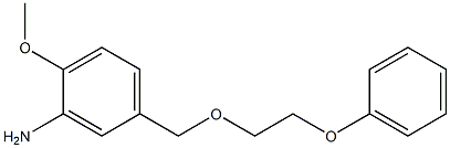 2-methoxy-5-[(2-phenoxyethoxy)methyl]aniline Struktur