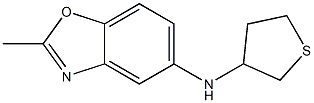 2-methyl-N-(thiolan-3-yl)-1,3-benzoxazol-5-amine Struktur