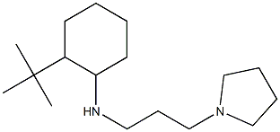 2-tert-butyl-N-[3-(pyrrolidin-1-yl)propyl]cyclohexan-1-amine Struktur