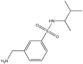 3-(aminomethyl)-N-(3-methylbutan-2-yl)benzene-1-sulfonamide Struktur