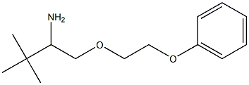 3,3-dimethyl-1-(2-phenoxyethoxy)butan-2-amine Struktur