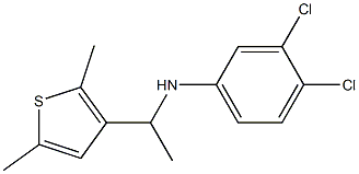 3,4-dichloro-N-[1-(2,5-dimethylthiophen-3-yl)ethyl]aniline Struktur