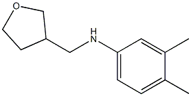 3,4-dimethyl-N-(oxolan-3-ylmethyl)aniline Struktur