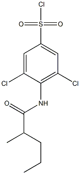 3,5-dichloro-4-(2-methylpentanamido)benzene-1-sulfonyl chloride Struktur