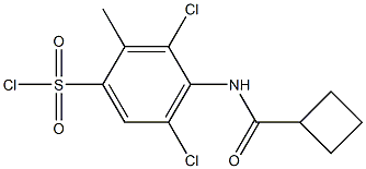 3,5-dichloro-4-cyclobutaneamido-2-methylbenzene-1-sulfonyl chloride Struktur