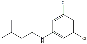 3,5-dichloro-N-(3-methylbutyl)aniline Struktur