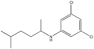 3,5-dichloro-N-(5-methylhexan-2-yl)aniline Struktur