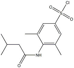 3,5-dimethyl-4-(3-methylbutanamido)benzene-1-sulfonyl chloride Struktur