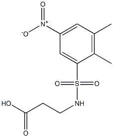 3-[(2,3-dimethyl-5-nitrobenzene)sulfonamido]propanoic acid Struktur