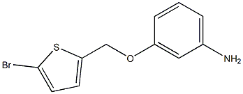 3-[(5-bromothiophen-2-yl)methoxy]aniline Struktur