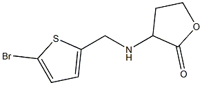 3-{[(5-bromothiophen-2-yl)methyl]amino}oxolan-2-one Struktur