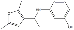 3-{[1-(2,5-dimethylfuran-3-yl)ethyl]amino}phenol Struktur