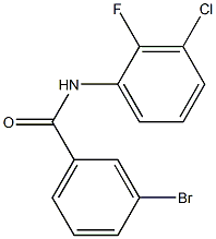 3-bromo-N-(3-chloro-2-fluorophenyl)benzamide Struktur