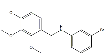 3-bromo-N-[(2,3,4-trimethoxyphenyl)methyl]aniline Struktur