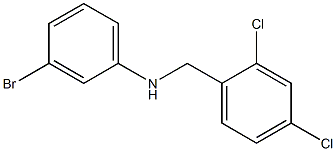 3-bromo-N-[(2,4-dichlorophenyl)methyl]aniline Struktur