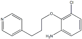 3-chloro-2-[3-(pyridin-4-yl)propoxy]aniline Struktur