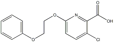 3-chloro-6-(2-phenoxyethoxy)pyridine-2-carboxylic acid Struktur