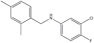 3-chloro-N-[(2,4-dimethylphenyl)methyl]-4-fluoroaniline Struktur