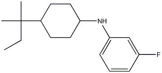 3-fluoro-N-[4-(2-methylbutan-2-yl)cyclohexyl]aniline Struktur