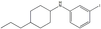 3-iodo-N-(4-propylcyclohexyl)aniline Struktur