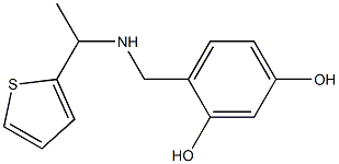 4-({[1-(thiophen-2-yl)ethyl]amino}methyl)benzene-1,3-diol Struktur