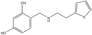 4-({[2-(thiophen-2-yl)ethyl]amino}methyl)benzene-1,3-diol Struktur