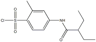 4-(2-ethylbutanamido)-2-methylbenzene-1-sulfonyl chloride Struktur