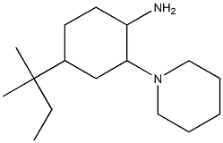 4-(2-methylbutan-2-yl)-2-(piperidin-1-yl)cyclohexan-1-amine Struktur