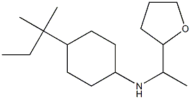 4-(2-methylbutan-2-yl)-N-[1-(oxolan-2-yl)ethyl]cyclohexan-1-amine Struktur