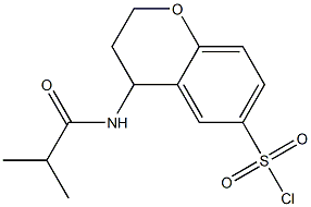 4-(2-methylpropanamido)-3,4-dihydro-2H-1-benzopyran-6-sulfonyl chloride Struktur