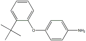 4-(2-tert-butylphenoxy)aniline Struktur