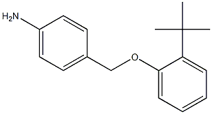 4-(2-tert-butylphenoxymethyl)aniline Struktur