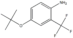 4-(tert-butoxy)-2-(trifluoromethyl)aniline Struktur