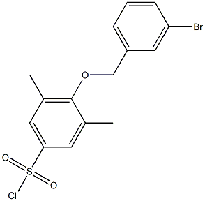 4-[(3-bromophenyl)methoxy]-3,5-dimethylbenzene-1-sulfonyl chloride Struktur