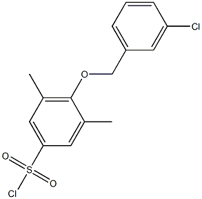 4-[(3-chlorophenyl)methoxy]-3,5-dimethylbenzene-1-sulfonyl chloride Struktur