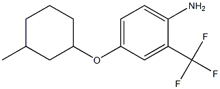 4-[(3-methylcyclohexyl)oxy]-2-(trifluoromethyl)aniline Struktur