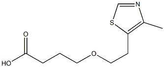 4-[2-(4-methyl-1,3-thiazol-5-yl)ethoxy]butanoic acid Struktur