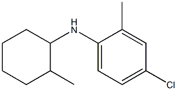 4-chloro-2-methyl-N-(2-methylcyclohexyl)aniline Struktur