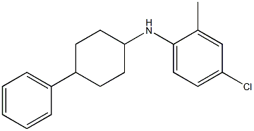 4-chloro-2-methyl-N-(4-phenylcyclohexyl)aniline Struktur