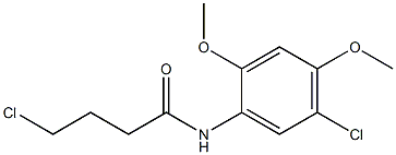 4-chloro-N-(5-chloro-2,4-dimethoxyphenyl)butanamide Struktur