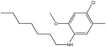 4-chloro-N-heptyl-2-methoxy-5-methylaniline Struktur