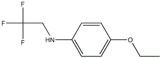 4-ethoxy-N-(2,2,2-trifluoroethyl)aniline Struktur