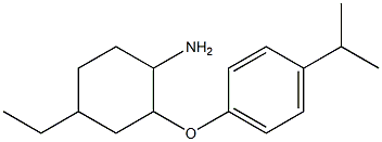 4-ethyl-2-[4-(propan-2-yl)phenoxy]cyclohexan-1-amine Struktur