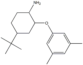 4-tert-butyl-2-(3,5-dimethylphenoxy)cyclohexan-1-amine Struktur