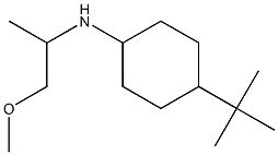 4-tert-butyl-N-(1-methoxypropan-2-yl)cyclohexan-1-amine Struktur