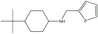 4-tert-butyl-N-(thiophen-2-ylmethyl)cyclohexan-1-amine Struktur