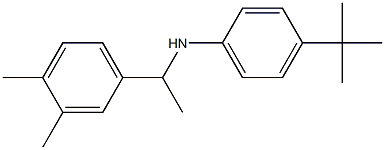 4-tert-butyl-N-[1-(3,4-dimethylphenyl)ethyl]aniline Struktur