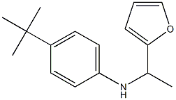 4-tert-butyl-N-[1-(furan-2-yl)ethyl]aniline Struktur